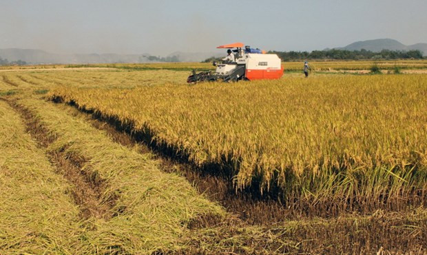 Các tỉnh phía Bắc triển khai sản xuất vụ Hè Thu và vụ Mùa ảnh 1