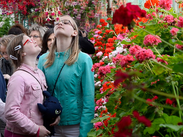 Con người có xu hướng chọn bạn có sự tương đồng về gen ảnh 1