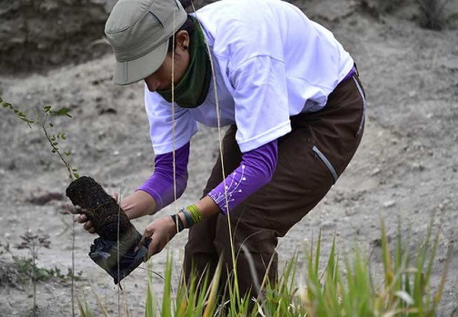 Ecuador phá vỡ kỷ lục Guinness về trồng rừng của Philippines ảnh 1