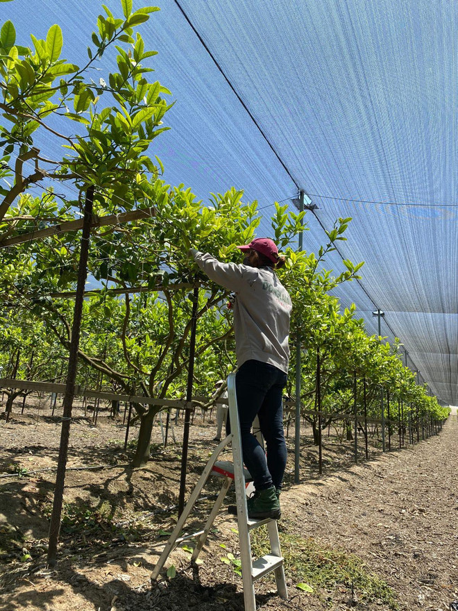 Tu nghiệp sinh Việt Nam tại Israel giúp nhau vượt qua 'bão lửa' ảnh 3