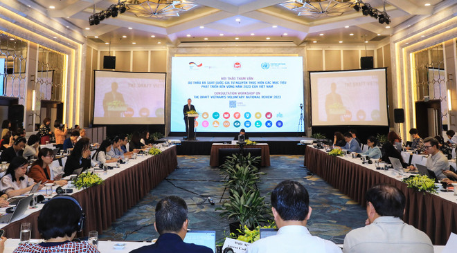 Việt Nam cam kết mạnh mẽ thực hiện mục tiêu phát triển bền vững ảnh 1