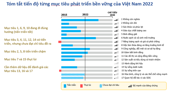 Việt Nam cam kết mạnh mẽ thực hiện mục tiêu phát triển bền vững ảnh 2