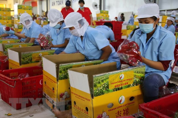 Tìm giải pháp để EU giảm tần suất kiểm tra nông sản của Việt Nam ảnh 1