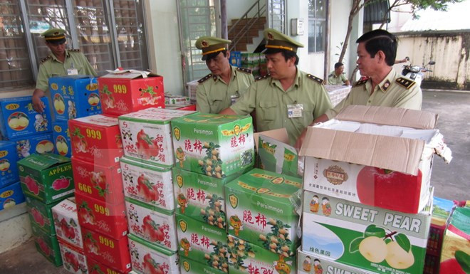 Tiêu hủy lô trái cây và hành tím nhập lậu không rõ nguồn gốc ảnh 1