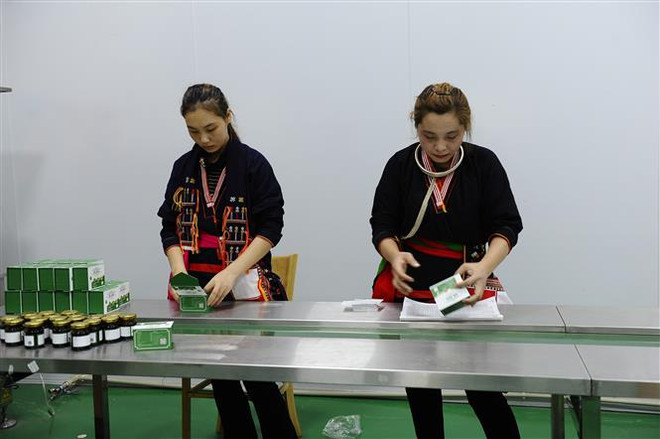 Hà Nội: Diện mạo Nông thôn Mới ở huyện miền núi Ba Vì ảnh 2