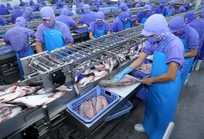 Viện Lowy ấn tượng với thành tích kinh tế của Việt Nam 2 thập kỷ qua ảnh 2