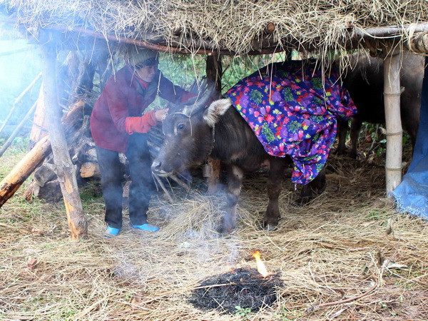 Các tỉnh miền Bắc đã có rét đậm, có nơi dưới 10 độ C ảnh 1