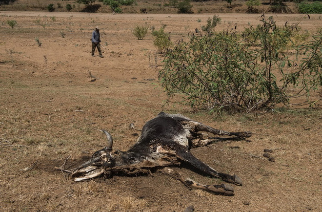 Biến đổi khí hậu có thể khiến dải xích đạo không còn dân cư ảnh 1