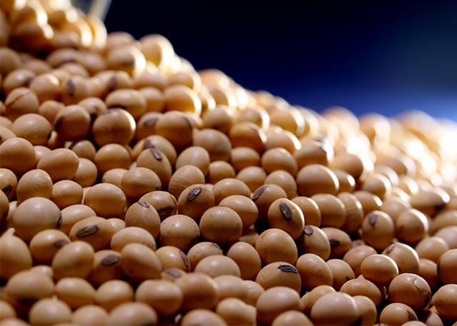 Brazil sản xuất thành công gel phòng chống lây nhiễm HIV ảnh 1