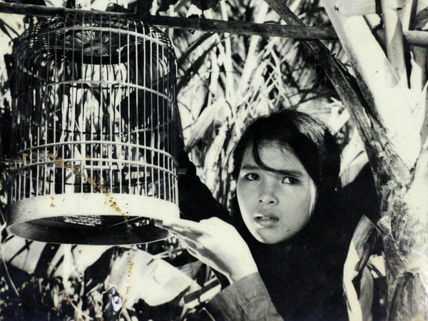 Nhiều bộ phim nổi tiếng của Việt Nam được trình chiếu ở Paraguay ảnh 1