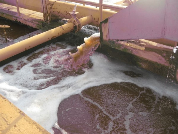 Việt Nam-Đức tăng hợp tác nghiên cứu trong lĩnh vực nước ảnh 1