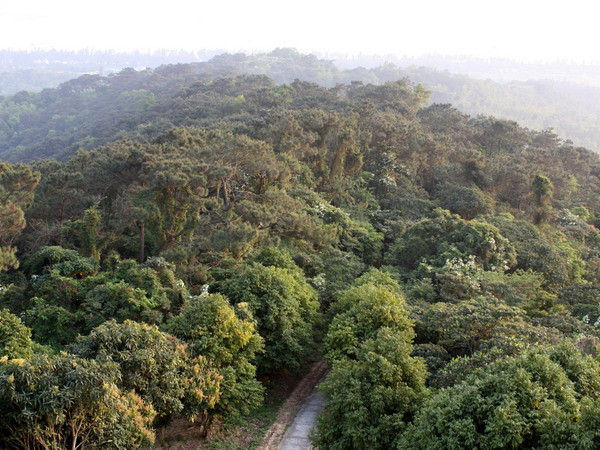 Sớm đưa Cô Tô thành khu du lịch biển đảo quốc gia ảnh 1