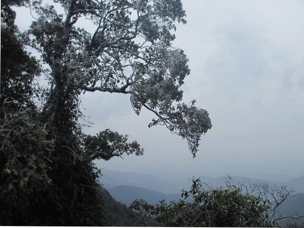 Bắc Bộ vẫn duy trì rét đậm, nhiệt độ có nơi dưới 12 độ C ảnh 1