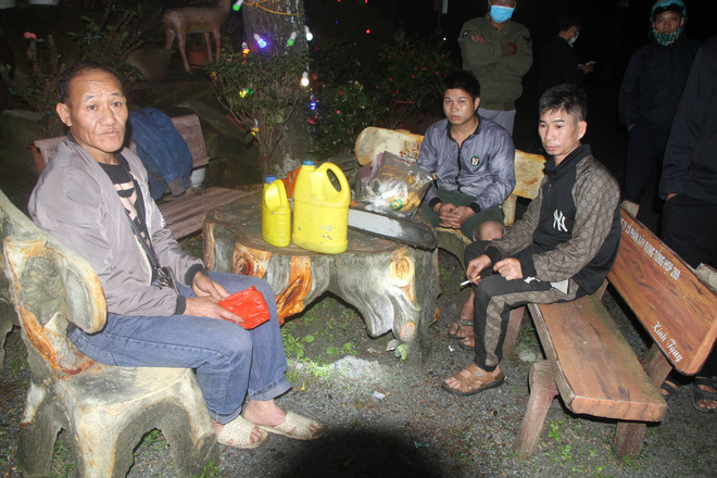 Hà Tĩnh: Tạm giữ 4 người liên quan cưa hạ cây thông ở chùa Chân Tiên ảnh 2