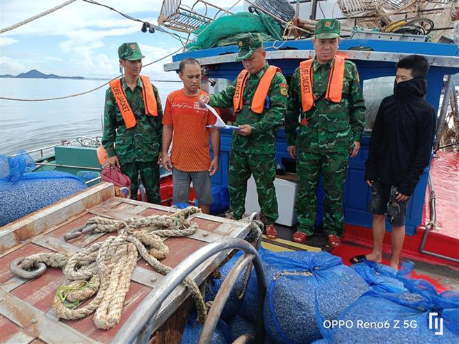 Quảng Ninh: 7 tàu đánh cá sai quy định bị Biên phòng bắt giữ ảnh 1