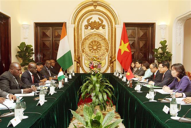 Việt Nam luôn coi trọng phát triển quan hệ hữu nghị với Côte d'Ivoire ảnh 1