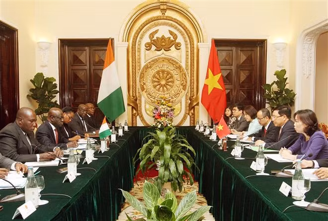 Việt Nam luôn coi trọng phát triển quan hệ hữu nghị với Côte d'Ivoire ảnh 1