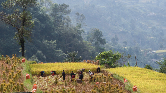 Bảo tồn nét văn hóa đặc trưng của dân tộc Cờ Lao ở Hà Giang ảnh 1