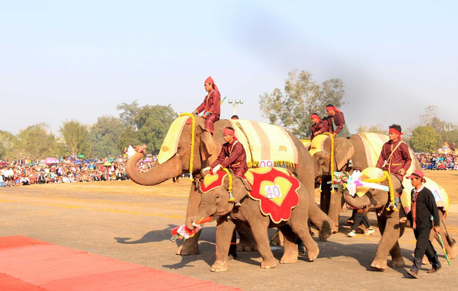 Lào: Lễ hội voi tại Xayabouly thu hút hàng trăm nghìn du khách ảnh 3