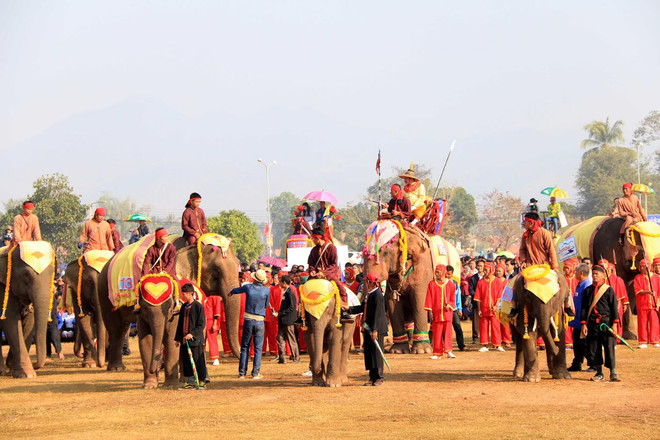 Lào: Lễ hội voi tại Xayabouly thu hút hàng trăm nghìn du khách ảnh 4