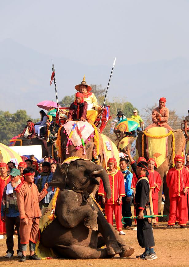 Lào: Lễ hội voi tại Xayabouly thu hút hàng trăm nghìn du khách ảnh 1