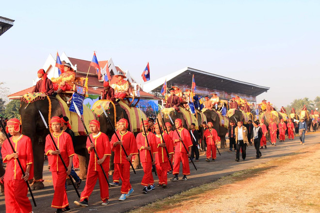 Lào: Lễ hội voi tại Xayabouly thu hút hàng trăm nghìn du khách ảnh 5