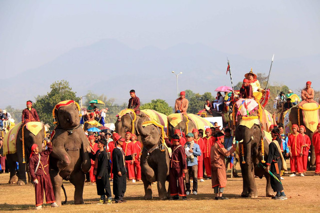 Lào: Lễ hội voi tại Xayabouly thu hút hàng trăm nghìn du khách ảnh 2