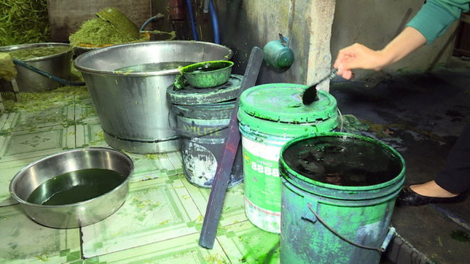 Lại phát hiện rau muống bào ngâm hóa chất ở Bà Rịa-Vũng Tàu ảnh 1