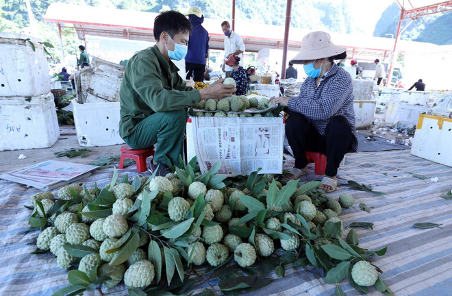 Khai mạc tuần lễ quảng bá đặc sản na Lạng Sơn tại Hà Nội ảnh 1