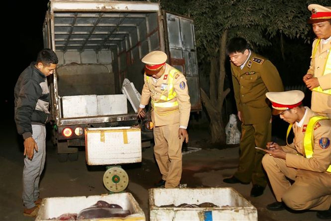 Liên tiếp bắt giữ các vụ vận chuyển nội tạng, mỡ động vật đã bốc mùi ảnh 1
