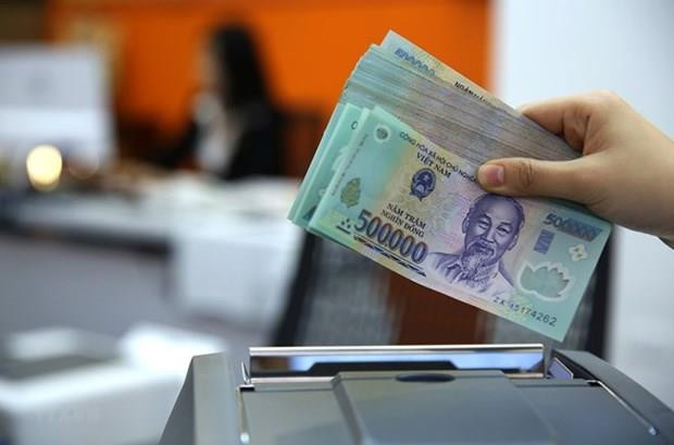 Ảnh minh họa. (Nguồn: TTXVN) 80% số tập đoàn, tổng công ty sau khi tiếp nhận kinh doanh có lãi ảnh 2