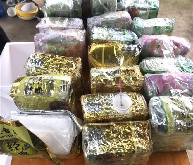 Ngăn chặn việc lợi dụng công nghệ cao vận chuyển ma túy vào nội địa ảnh 1