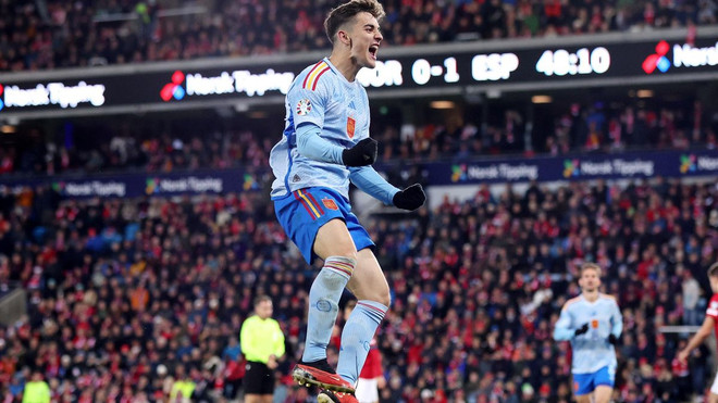 Thêm 3 đội tuyển chính thức giành vé dự Vòng Chung kết EURO 2024 ảnh 1