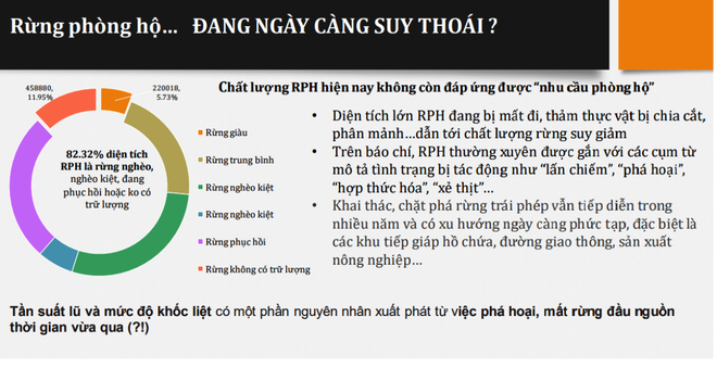 Chất lượng rừng phòng hộ hiện nay không còn đáp ứng được “nhu cầu phòng hộ”. (Nguồn: PanNature) Việt Nam giảm 1,7 triệu hécta rừng phòng hộ trong vòng 10 năm qua ảnh 3