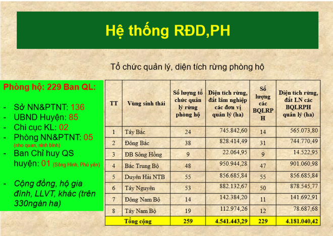Tổ chức quản lý, diện tích rừng phòng hộ. (Nguồn: Vụ Quản lý RĐD và RPH) Việt Nam giảm 1,7 triệu hécta rừng phòng hộ trong vòng 10 năm qua ảnh 4