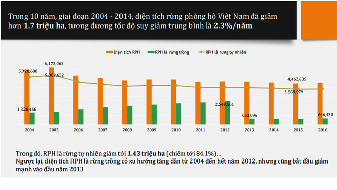 Từ năm 2004 đến 2014, diện tích rừng phòng hộ Việt Nam đã giảm hơn 1,7 triệu hécta, tương đương tốc độ suy giảm trung bình là 2,3%/năm. (Nguồn: PanNature) Việt Nam giảm 1,7 triệu hécta rừng phòng hộ trong vòng 10 năm qua ảnh 2