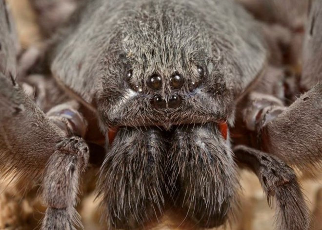 Sự kiện quốc tế 10-16/4: Triều Tiên đe dọa cả thế giới ảnh 5