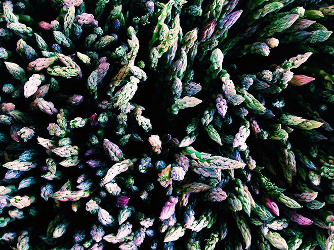 [Photo] Mãn nhãn với các bức ảnh được chụp bằng iPhone ảnh 16