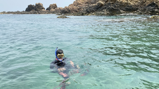 Thông tin san hô tại Hòn Sẹo bị khai thác trái phép là chưa chính xác ảnh 2