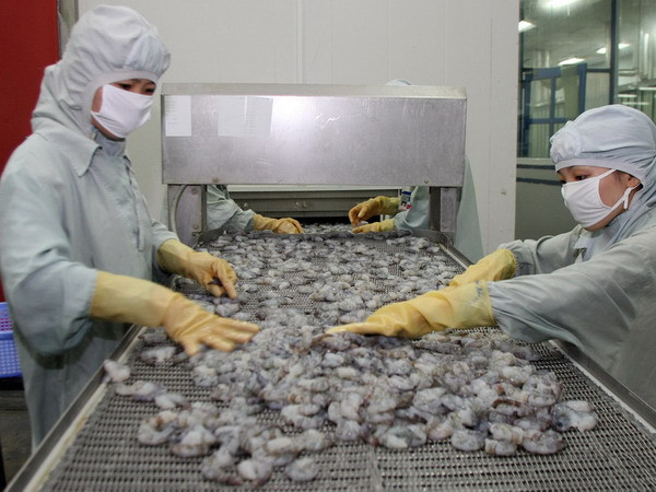 Xuất khẩu tôm lần đầu tiên đạt giá trị trên 3 tỷ USD ảnh 1