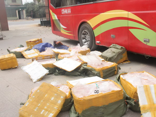 Hà Tĩnh tiêu hủy gần 1 tấn nội tạng động vật "bẩn" ảnh 1