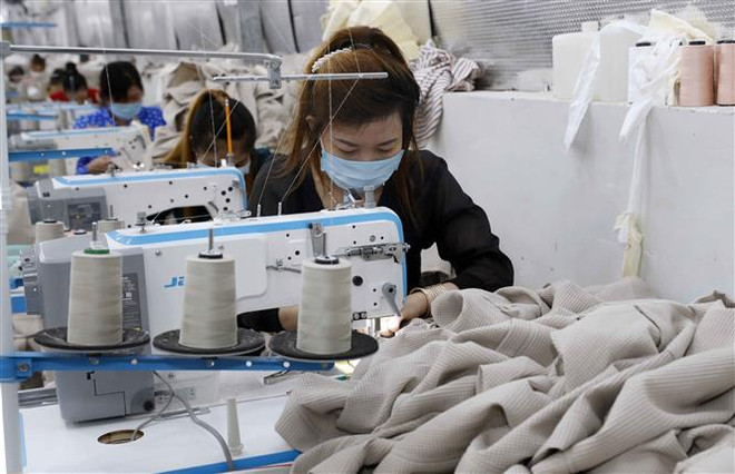 Có 30,8 triệu lao động bị “ảnh hưởng tiêu cực” bởi đại dịch ảnh 1