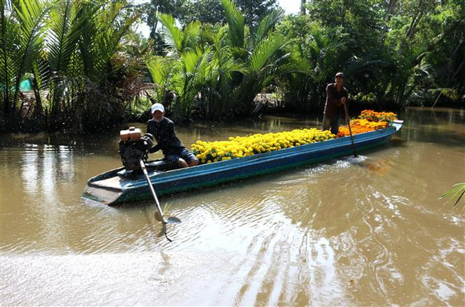 Mùng 5 Tết, Bắc Bộ có nơi rét về đêm, Đông Nam Bộ nắng nóng ảnh 1