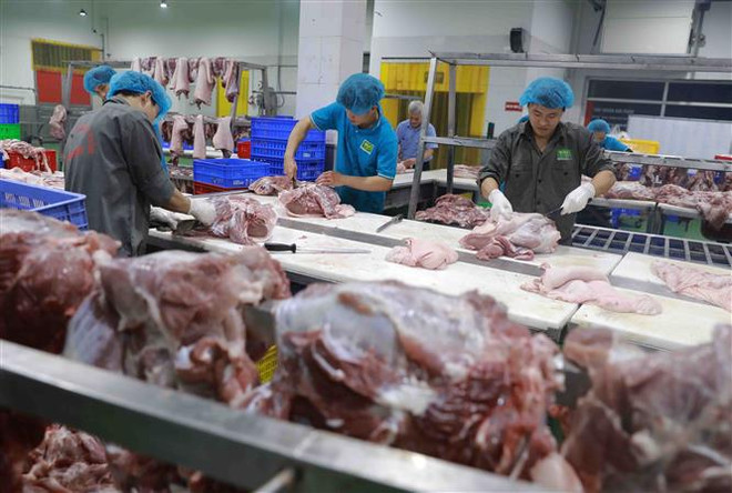 Giá cả dịp Tết Quý Mão: Thị trường, giá bình ổn trong tầm kiểm soát ảnh 2