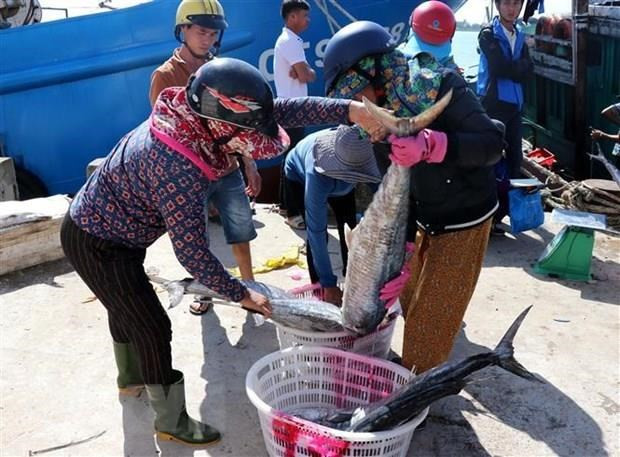 Khắc phục 'thẻ vàng' IUU: Nỗ lực đồng lòng giữa các địa phương ảnh 1