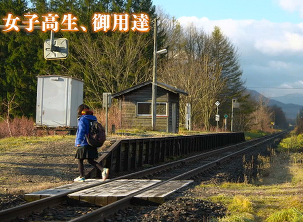 Ga tàu tại Nhật Bản chỉ phục vụ một hành khách suốt ba năm? ảnh 1