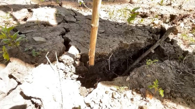 ttxvn sat lo Muong Lat_2_resize.jpg