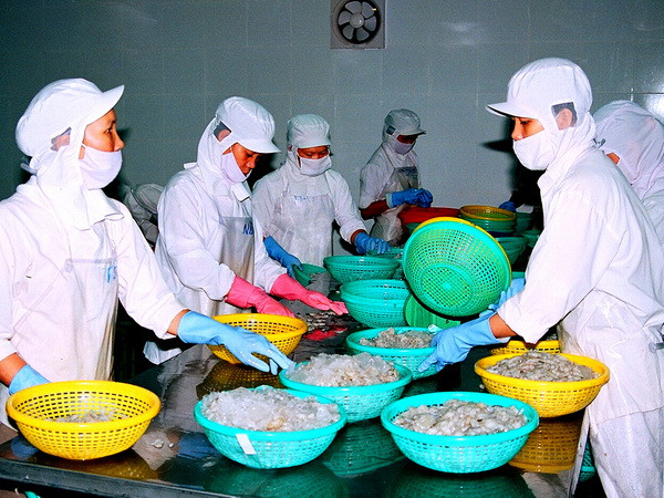 Hiệp định Thương mại tự do Việt Nam-EU: Sẵn sàng cho cơ hội mới ảnh 1