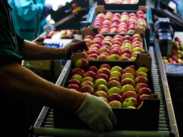 "Nga tìm cách mở rộng lệnh cấm nhập khẩu cả hàng hóa quá cảnh" ảnh 1