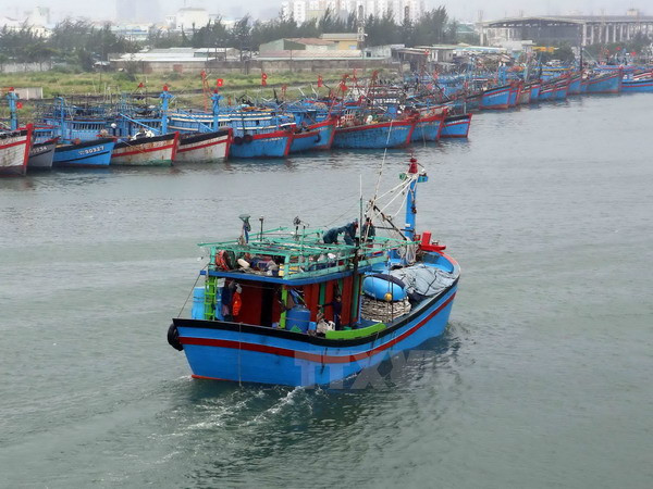 Quảng Ngãi: Bình gas trên tàu cá phát nổ khiến 2 người thương vong ảnh 1